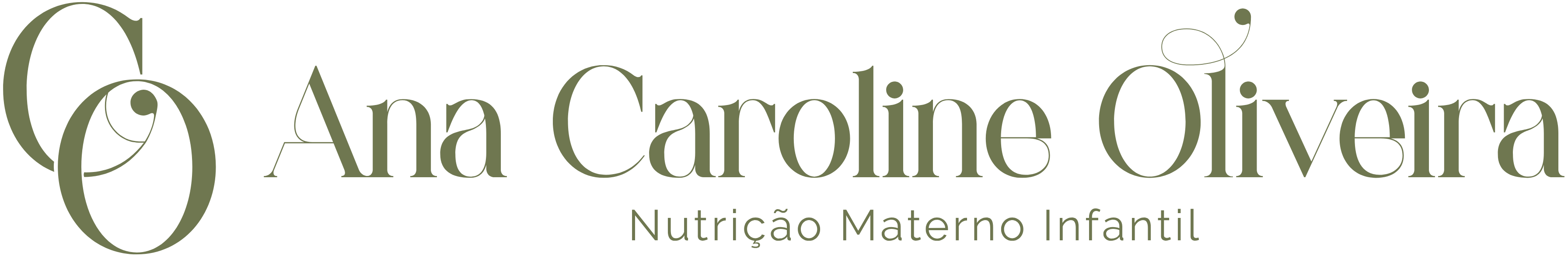 Logo Ana Caroline